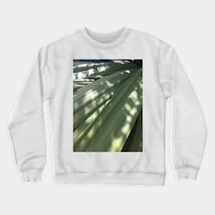 Tī Kōuka Leaves Crewneck Sweatshirt